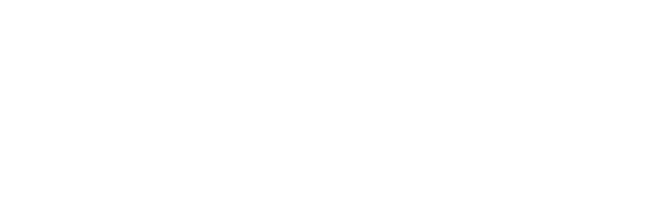 Sharks and Partners Transparent Logo